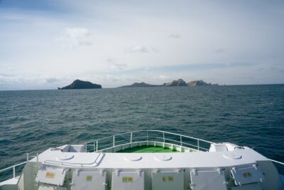 Vestmannaeyjar, Puffins & Volcanoes Small Group Day Tour - Getting from Reykjavik to the island without wasting your day