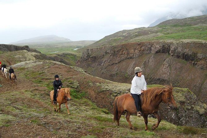 Viking Horse Riding and Golden Circle Tour from Reykjavik - Who should book this, and who should think twice