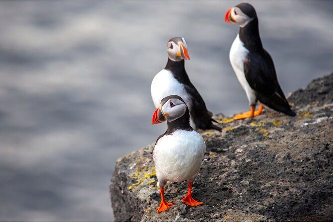 Westman Islands, Volcanoes and Puffins Small Group Tour - Eldheimar Museum: The Included History Stop That Makes the Day Click