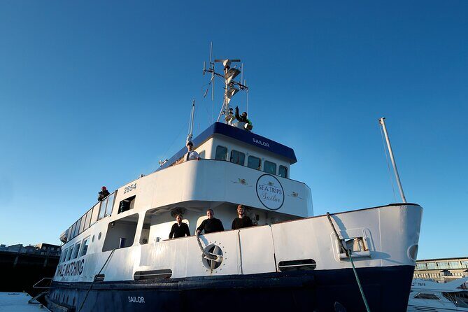 Whale Watching and Marine Life Tour in Reykjavik - Faxafloi Bay: Why Reykjavik Whale Watching Feels So Accessible