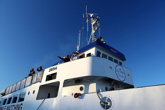 Whale Watching and Marine Life Tour in Reykjavik - When You See Few Animals: The Follow-Up Ticket Promise