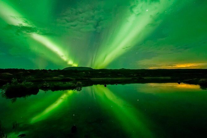 Whale Watching and Northern Lights Half-Day Combo Tour - Price and value: is $176 per person fair for this package?