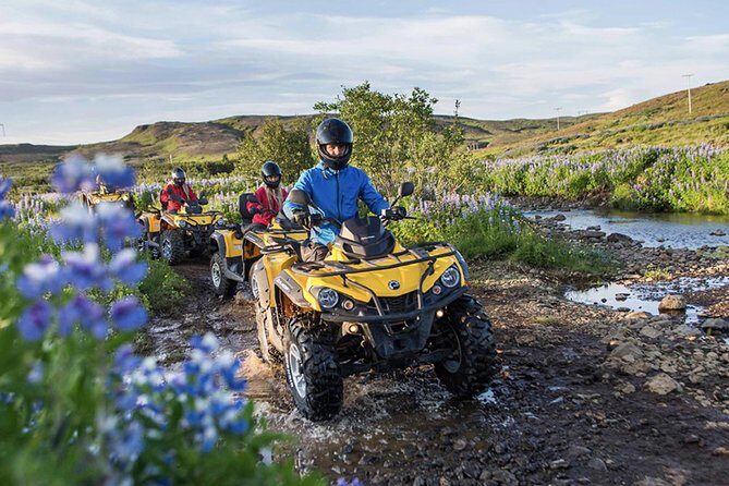 Whale Watching & ATV Adventure from Reykjavik - Price and value: is $329.74 worth it for a quad and whale day?