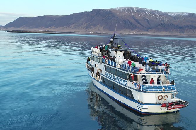 Whale-Watching Boat Tour with Expert Guide from Reykjavik - What Happens During the Cruise Into Faxaflói Bay