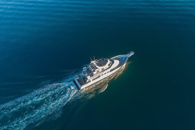 Whale Watching Cruise on a Yacht in Reykjavik - From Old Harbour to the whale watch zones of Faxaflói Bay