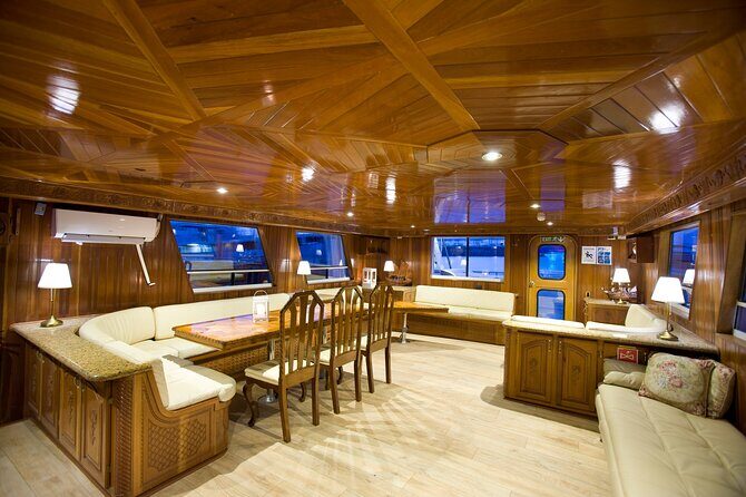 Whale Watching Cruise on a Yacht in Reykjavik - Onboard guide style: how the crew helps you see more
