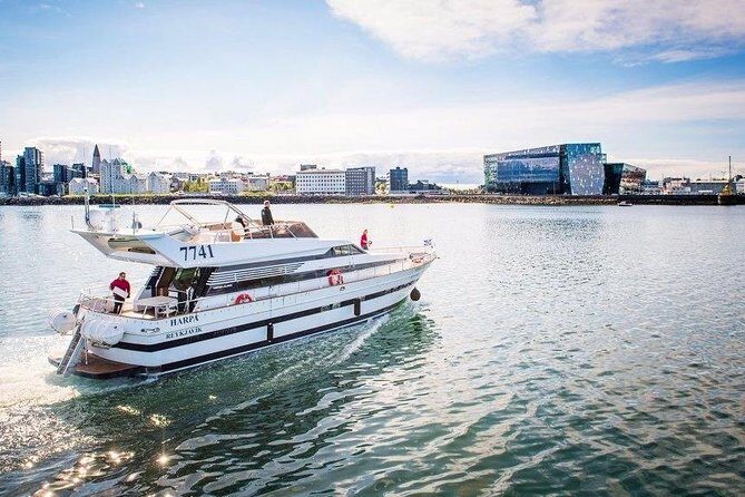Whale Watching & Dolphin Yacht Cruise - Key takeaways before you go