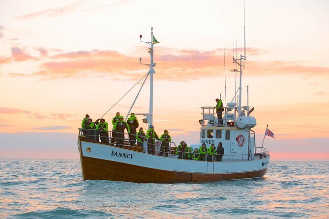 Whale Watching in Husavik - Warm cocoa, the museum discount, and how to turn it into a full wildlife day