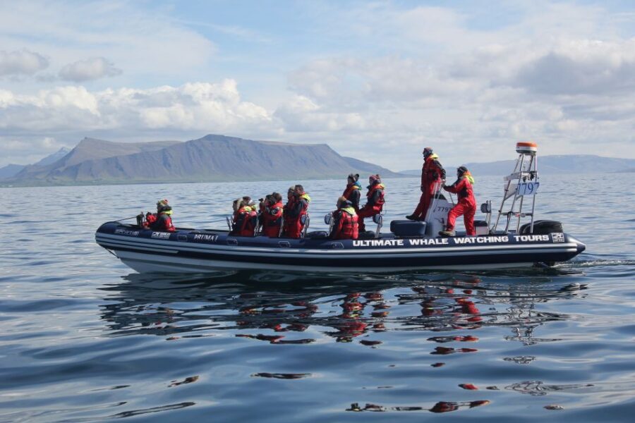 Whale Watching in Reykjavik by Speedboat - Shore Stops: Sun Voyager and Harpa From the Sea