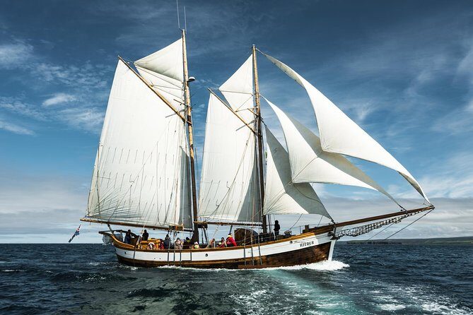 Whale Watching on a Traditional Oak Sailing Ship from Husavik - How the Search Works: Whale Watching with Guide Narration