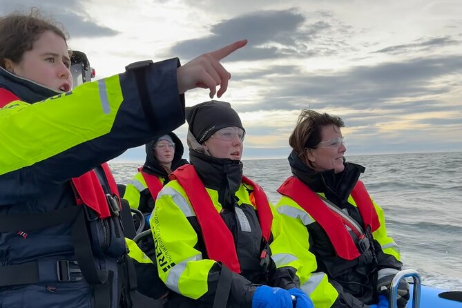 Whale Watching - RIB Boat Adventure in Kopavogur, Iceland - Why Kópavogur gives you more whale time than you think