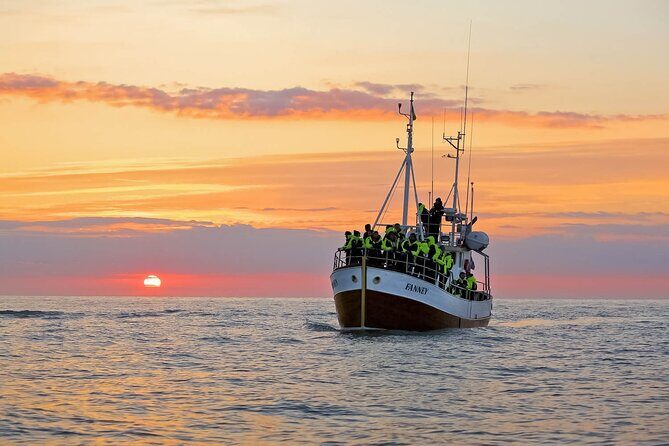 Whales and Puffins Tour from Husavik - From Húsavík Harbor to Puffin Island: What 3.5 Hours Really Means
