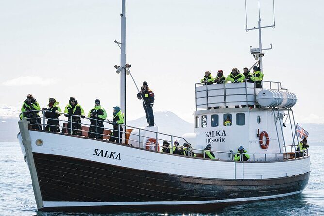 Whales and Puffins Tour from Husavik - What “Every Tour Is Different” Looks Like in Real Life