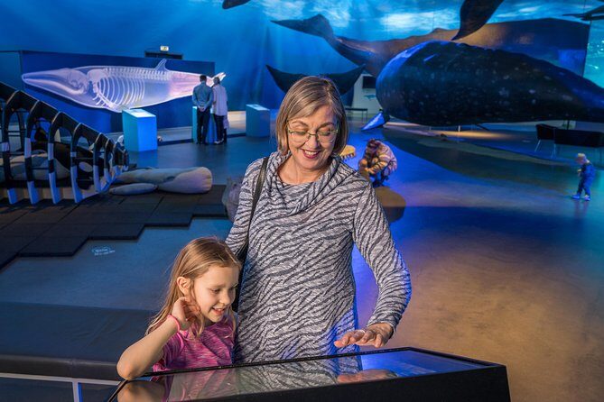 Whales Of Iceland Admission Ticket - Price and value: is $34.84 worth it?