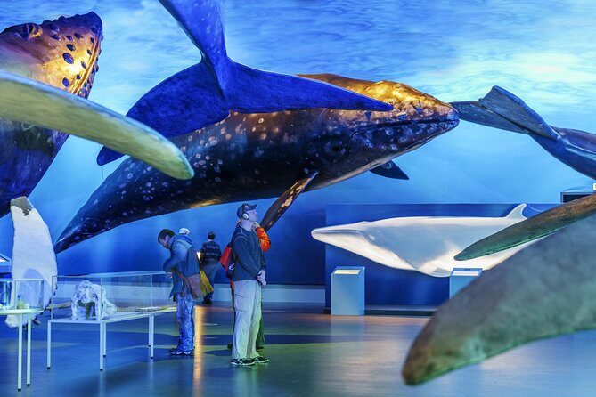 Whales Of Iceland Admission Ticket - Getting there at Fiskislóð 23: parking is free, and the marina area is handy