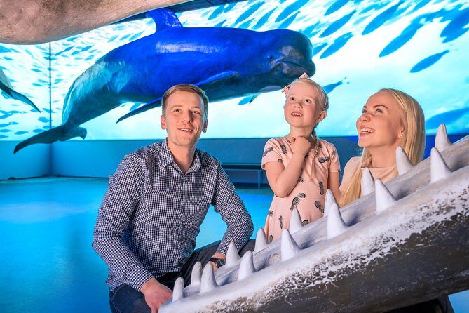 Whales Of Iceland Admission Ticket - Who this works best for (and who might not love it)