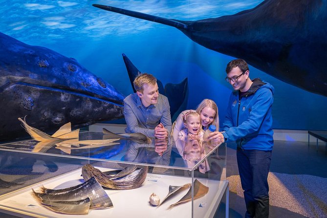 Whales of Iceland from Land and Sea - Geirsgata meeting point and getting kitted for real cold