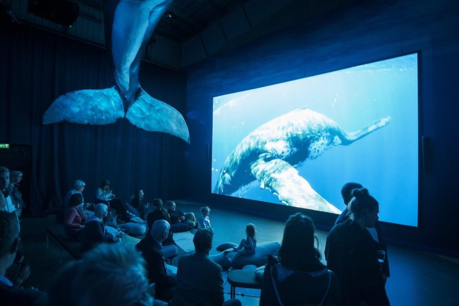 Whales of Iceland from Land and Sea - Where you sit matters more on a big boat